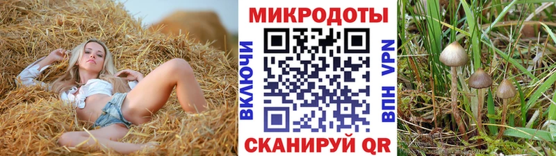 даркнет сайт  Лебедянь  Псилоцибиновые грибы Magic Shrooms 